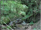 foto Lago del Corlo